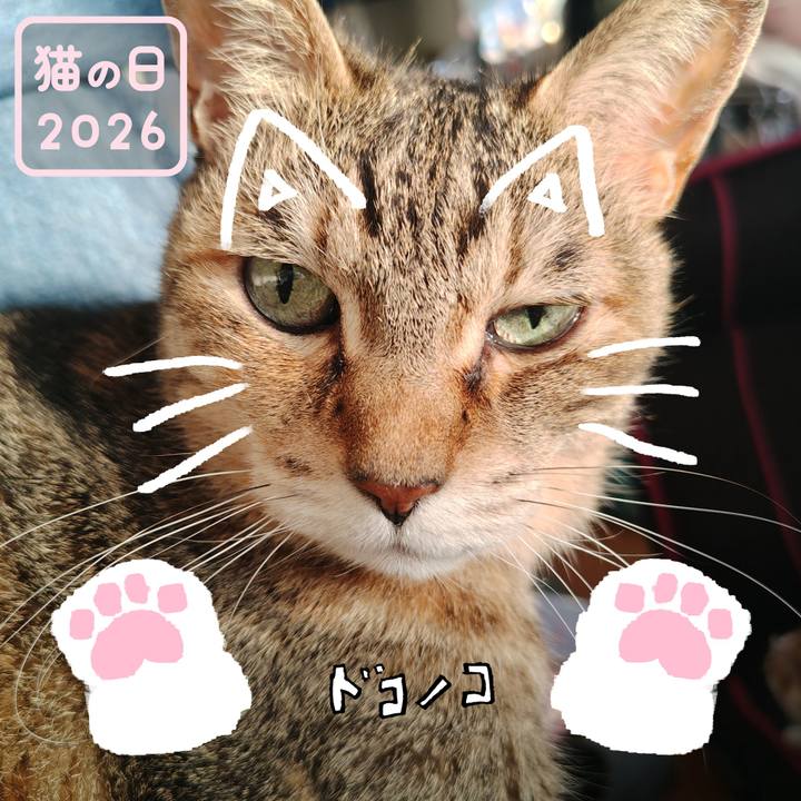 1b939390 1b8c 41d0 bb69 5b232a1931a0 1771729536836