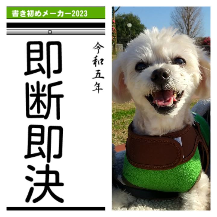 1b93cb63 38ee 49f0 8647 2cbd8008ec8b 1673123353107