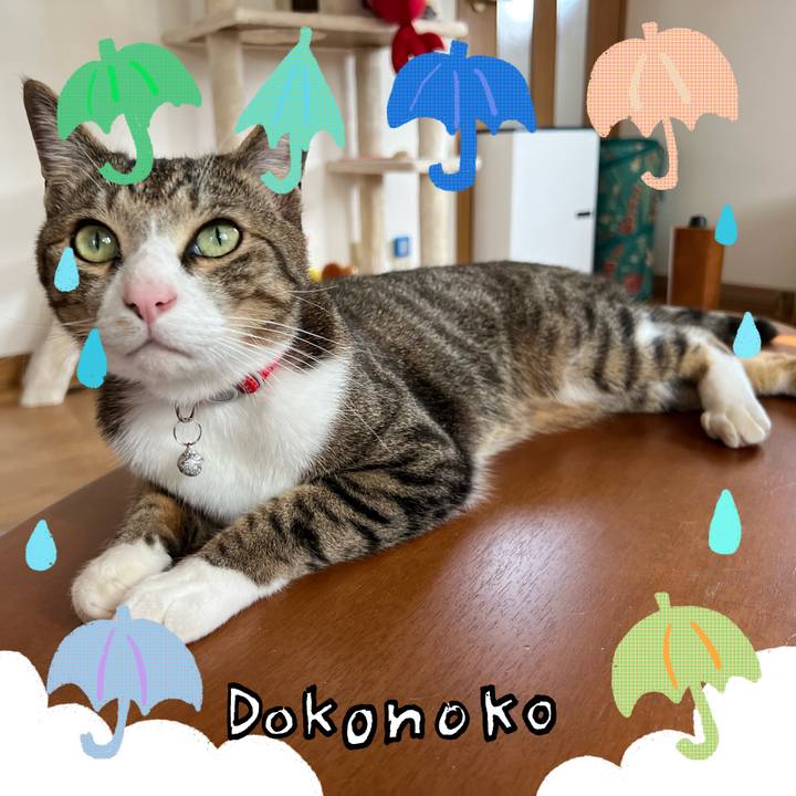 1b93df76 c0c5 4a9c 9670 e072152150c1 1718448987947