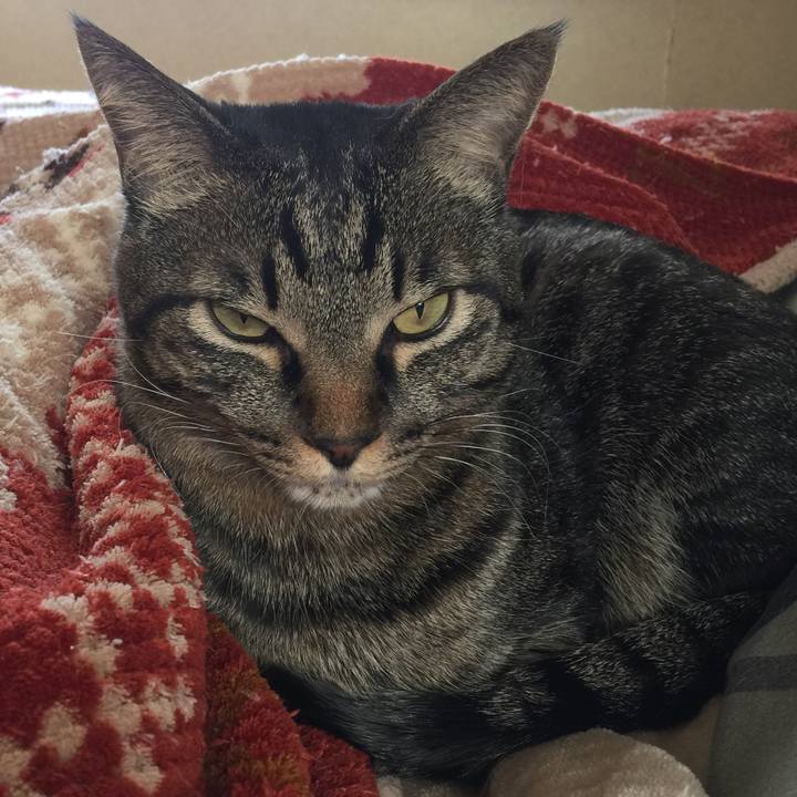 1b93e058 74df 4cca 8427 a95e200d16ed 1513771625869