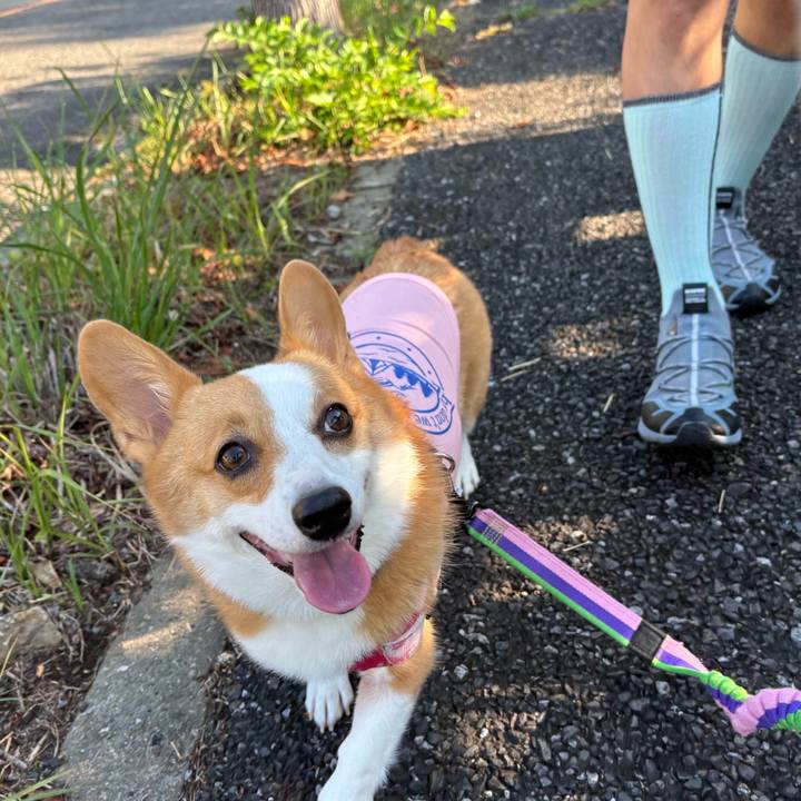 1b942c2d acd2 413f ab77 98fa28952677 1757217065730