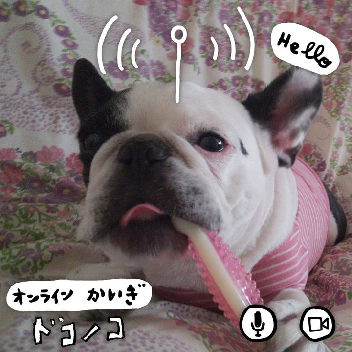 1b94426a b41f 4f60 931d 471d88f1deee 1591491586683