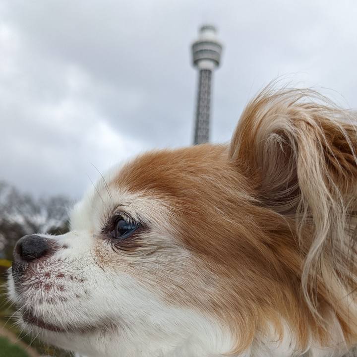 1b94e490 f66e 45c8 8518 0ea72ae5770e 1648303664886