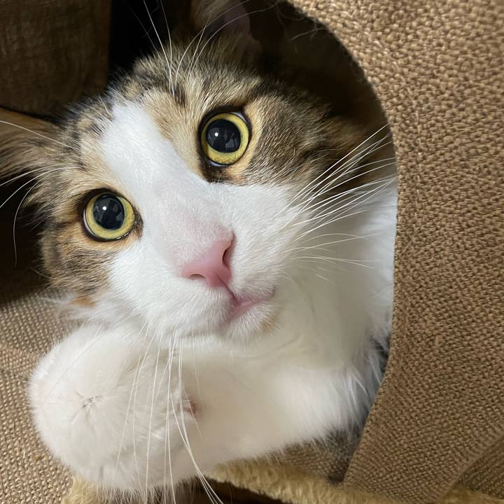 1b9505ef 3caa 408b aa71 d5ab2cbda2a6 1670873304275