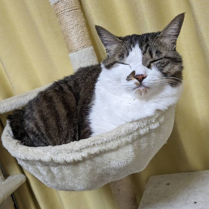 1b950f7f 57d6 4159 b12c 807735fc715e 1710075817822