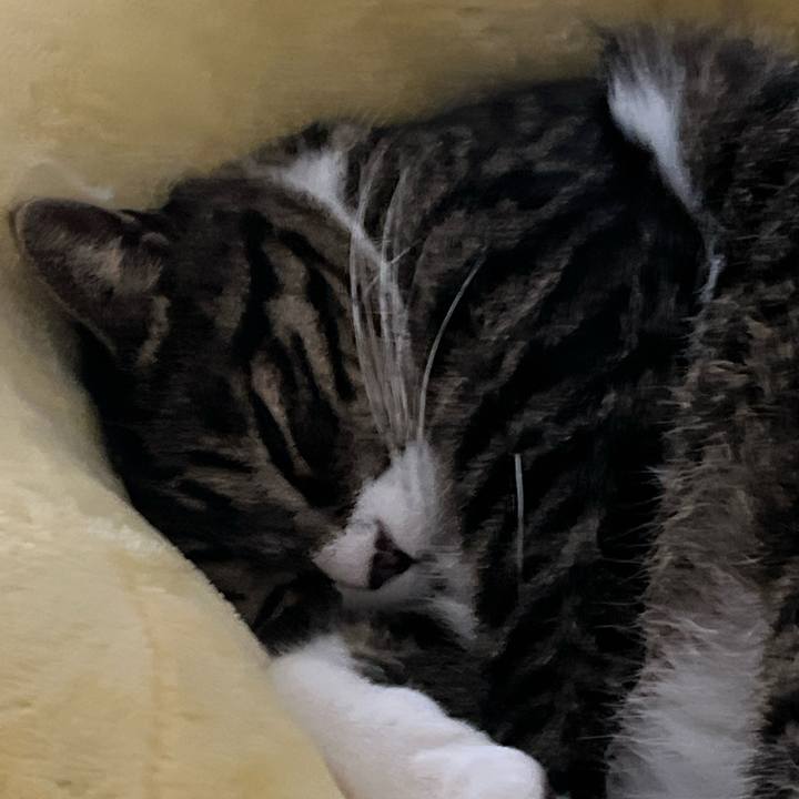 1b952c22 8275 4ba6 90fb b04acdc3ae84 1762471836239