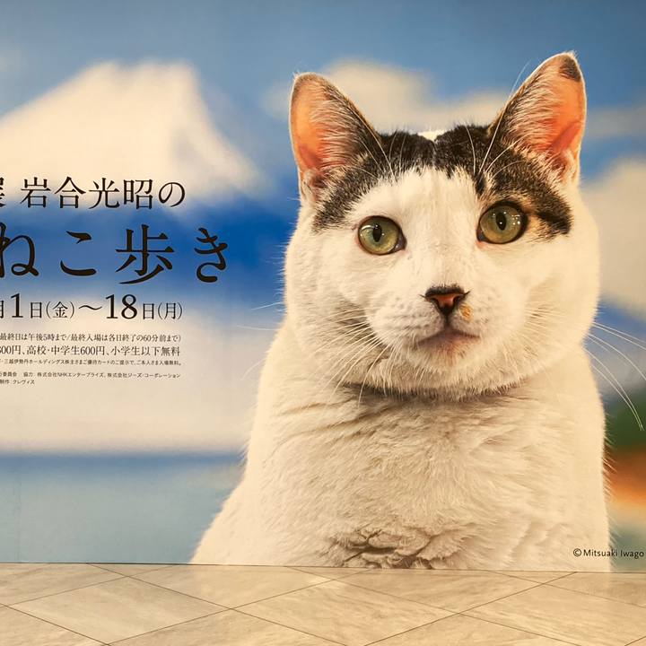 1b954124 2950 4c9e a82c d3db15f07a15 1701706150381