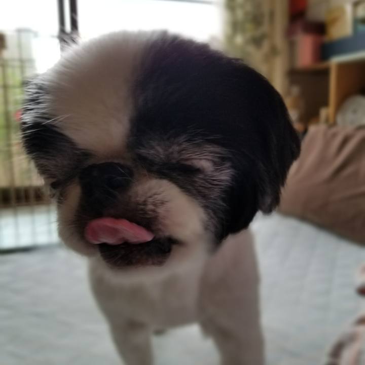 1b9564f2 10fa 43fe bef0 13b0057d9986 1562154075491