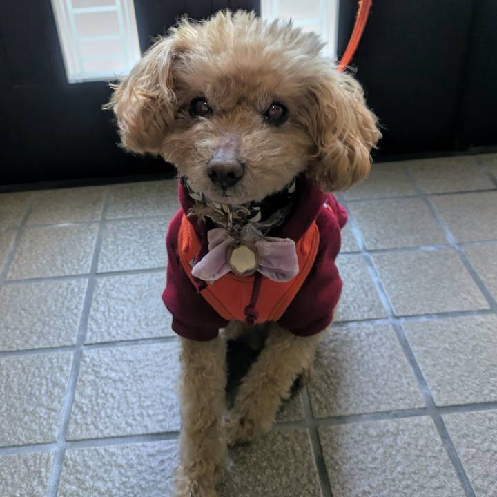 1b9569b1 3700 453d b2db 0bd62fc63ff1 1771462661065