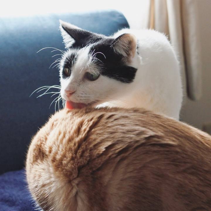 1b9578d5 ab3e 461a bb5d f503534afdbc 1574558068767