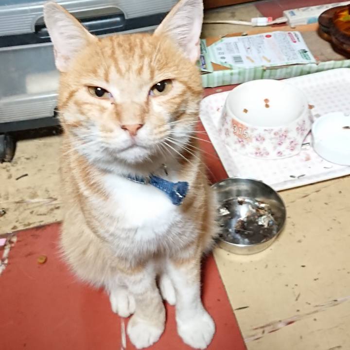 1b958433 aa38 4ada 9235 db2aa2a8926f 1565034364960