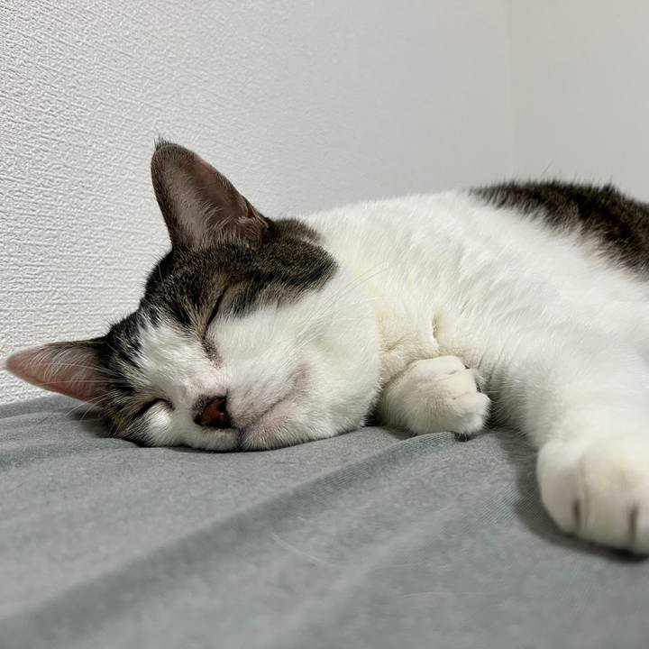 1b95aa6a ae74 4f29 873b 64b543b97584 1721477612973