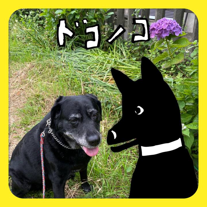 1b95bab1 f9e7 456c a138 e5ab3dedfffa 1622880513192