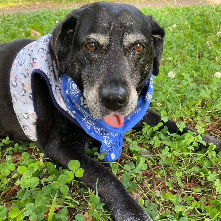 1b95bc90 5630 4b74 a78b ce9b15fda39a 1688298771241