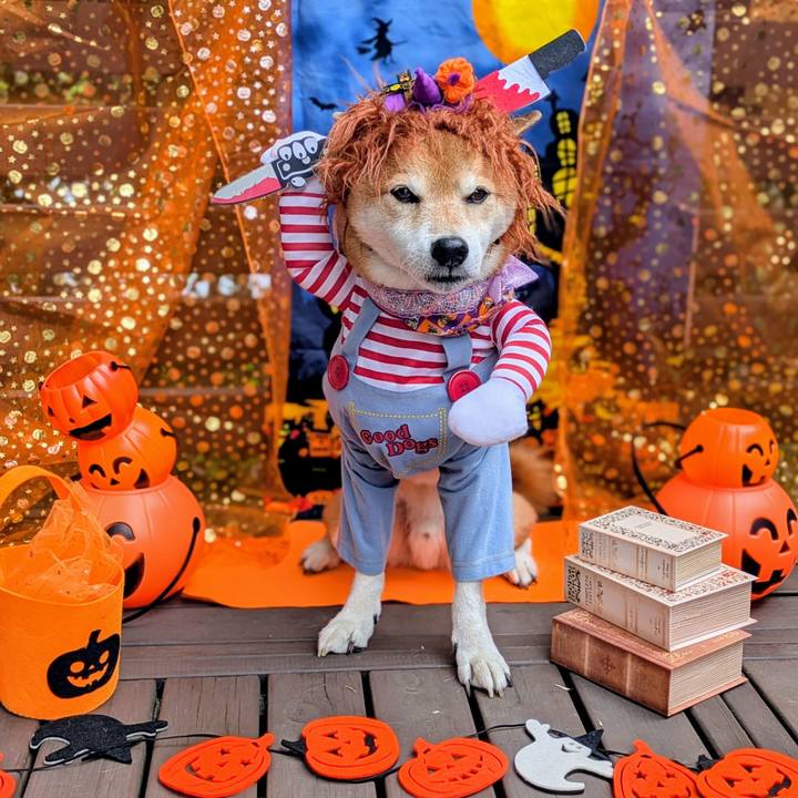 1b95ff07 9cc6 4ff5 af9a 0550467531b5 1761879367454