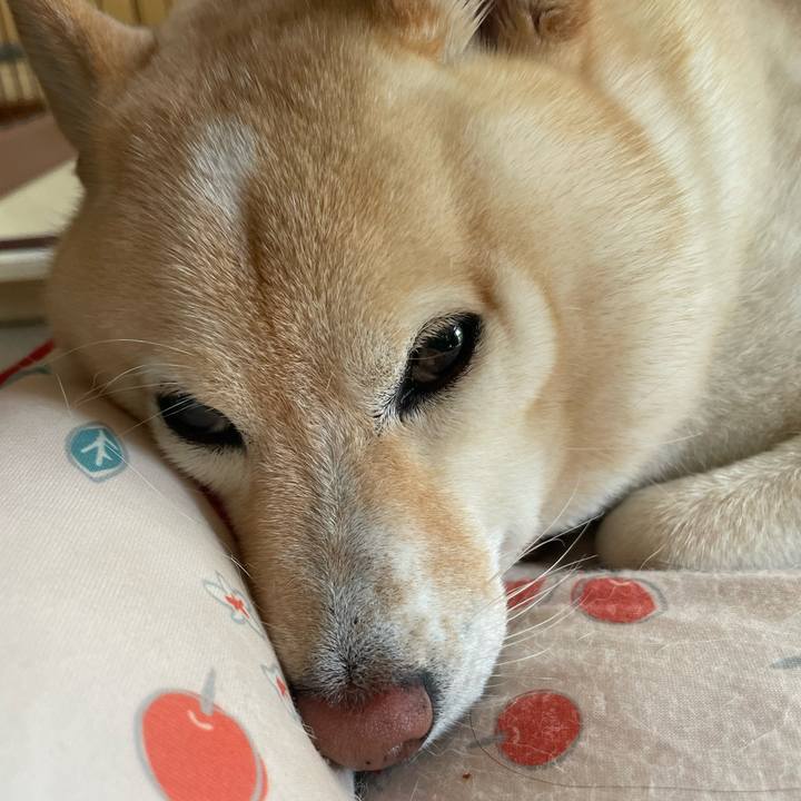 1b960a3b 8da6 491a b8d6 f2cbc7056d0e 1725063120389