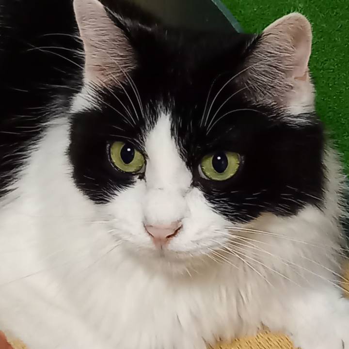 1b964902 1f07 4653 bef8 94cd09cc9e02 1664624110260