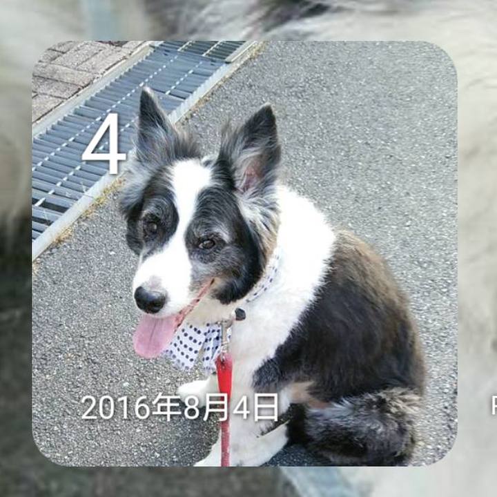 1b967a64 8858 4cbb a269 0e508cbb2f01 1659615209355