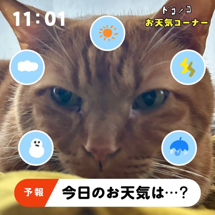 1b969dad b51c 447e ab04 284c5e91b06d 1781737769511