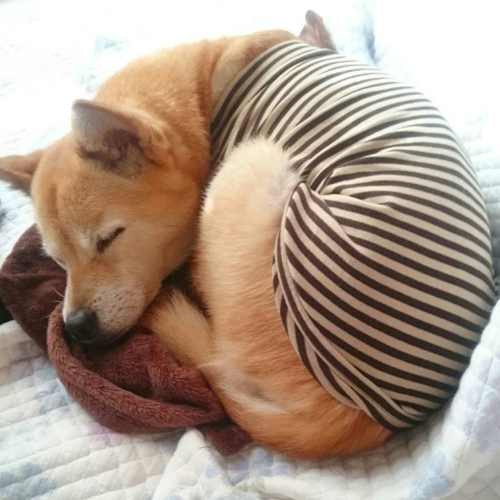 1b96a7ba 08cc 4886 b854 2e22d09f1802 1509846174535