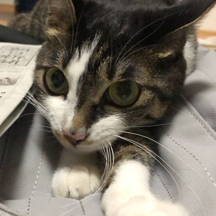 1b9765b6 7424 4679 92a1 c44e88ba195c 1622408884082