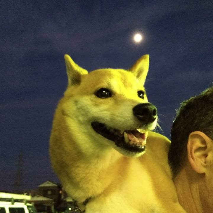 1b979004 b038 42c4 b058 d13f6df56ef1 1532289722332