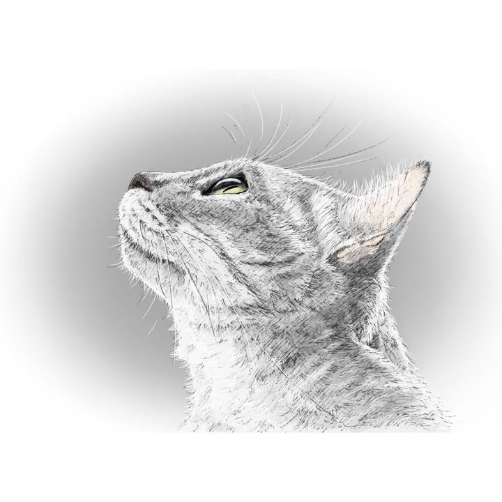 1b97caf6 e0b8 4894 985e 28d53acaed31 1580532907686