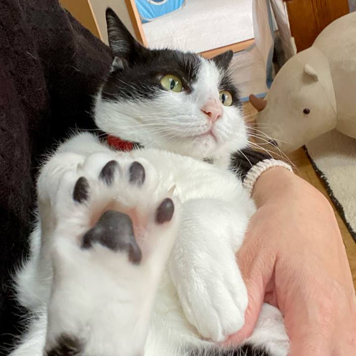 1b97df09 dd54 489d 85e8 bae9479cf6cd 1766969911027