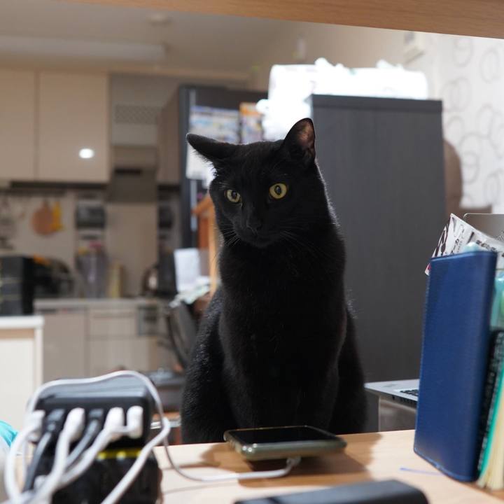 1b97eef5 00f1 45bf b7d9 192dcd9ab4ce 1583793758558