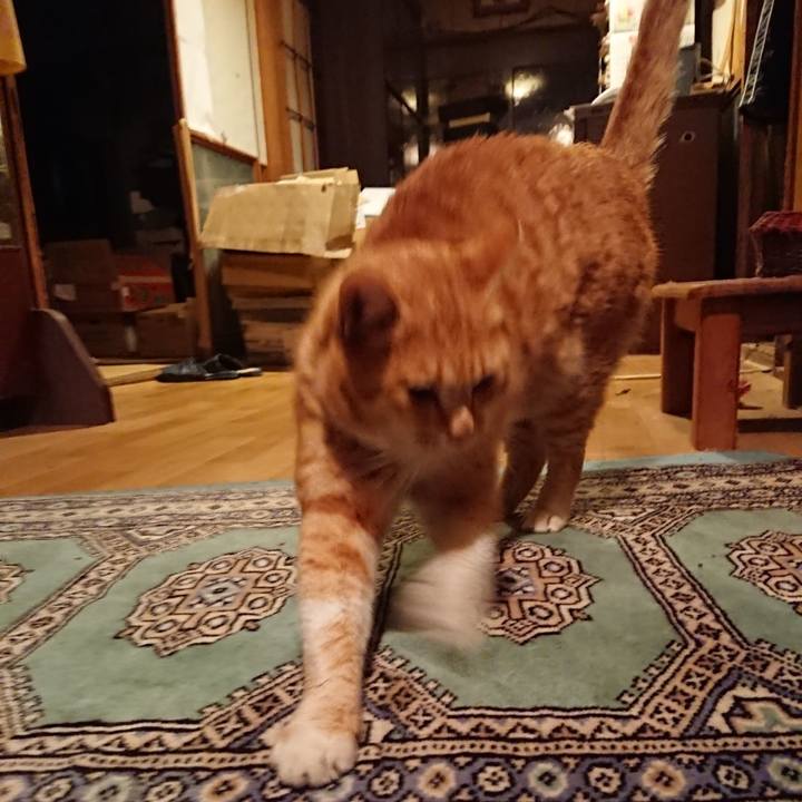 1b97ff07 4287 471a aa80 04e68c18a4f9 1580288123311