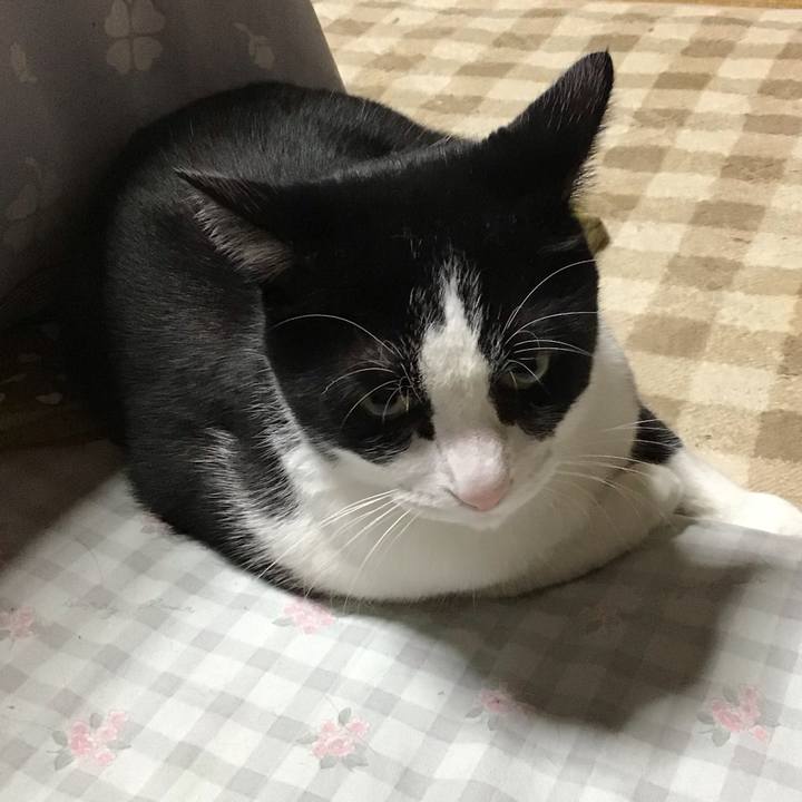 1b981110 bef6 46d8 894a 9fc8061e7e4b 1700224058566