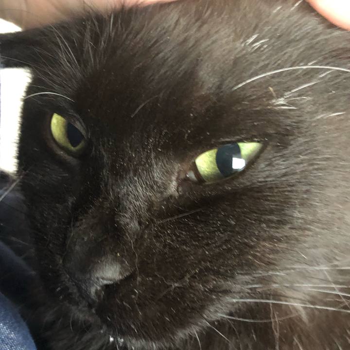 1b98133b 0d7f 4c86 803a cc6733d01a05 1639793525801