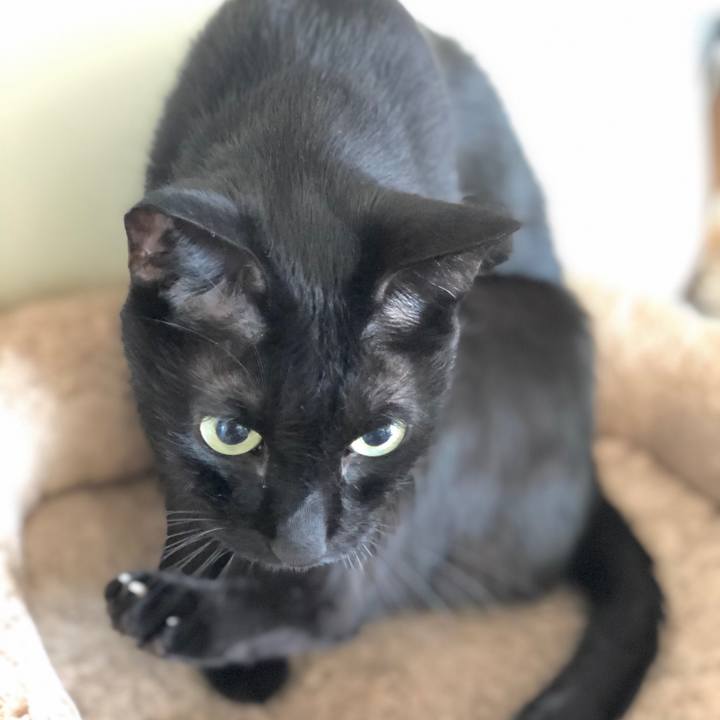 1b9822c4 1921 4b98 b09d 1fc7fe7d09e8 1598533449371