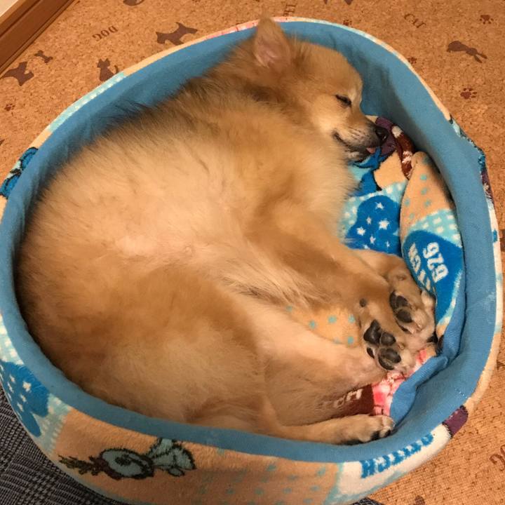 1b982f14 0cc9 4b4e 9c07 ed4bffdbf339 1554047819313