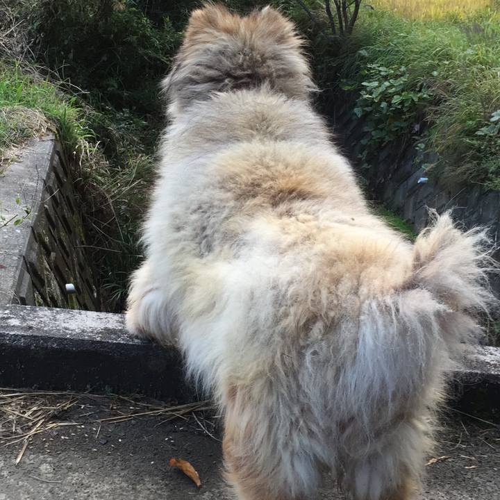 1b983612 0e08 4510 93ef c0eaafb591aa 1610544366070