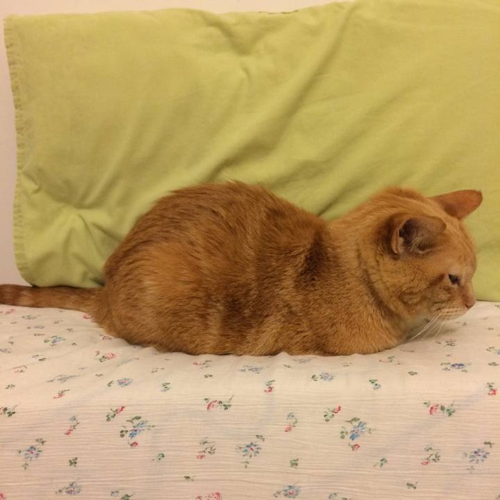 1b9864f3 8a35 4942 9b10 d5f2081ae74d 1531793252083