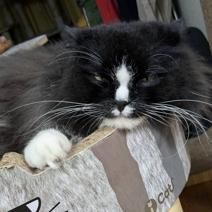 1b9885bd 8802 499f b681 7b27ea9c2d2e 1727170724113