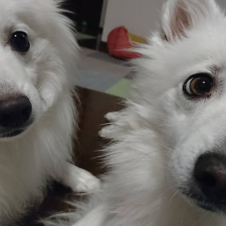 1b989f43 70ca 444c abac bb559f702573 1582963567909