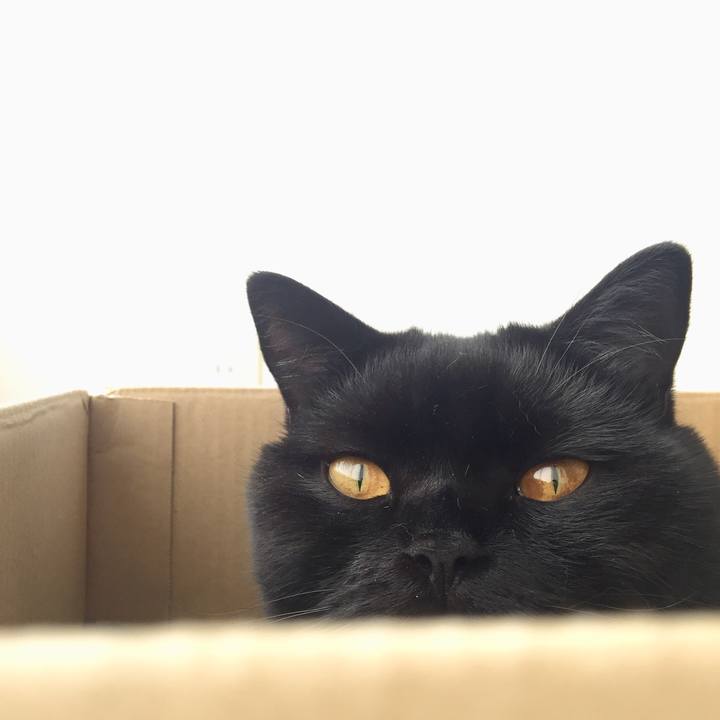 1b98cd41 afd9 485d a6ad db7d96837281 1570837238737