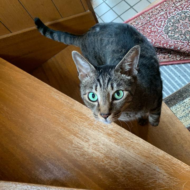 1b98e41e 436b 4f06 89cc 266c100b5dc4 1537837470814