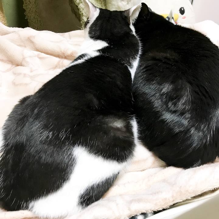 1b990f2a 0c7a 4711 ba82 7923cd702f63 1516112189778