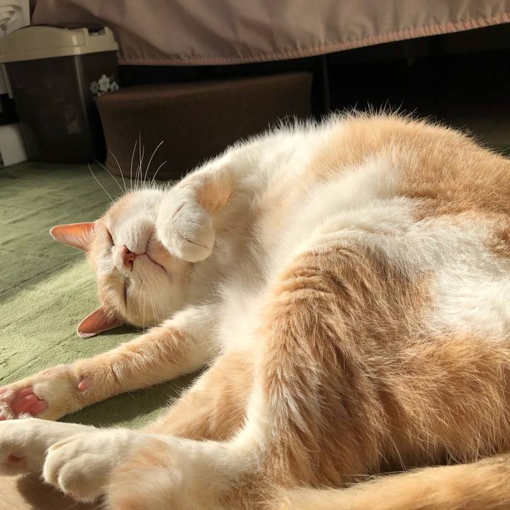 1b99482c 2cfa 4111 bd91 e0e773136b10 1589413188945