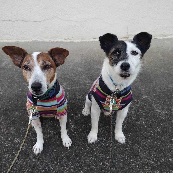 1b995ed4 e594 4780 a6e9 a4e43cd272b5 1756330553524