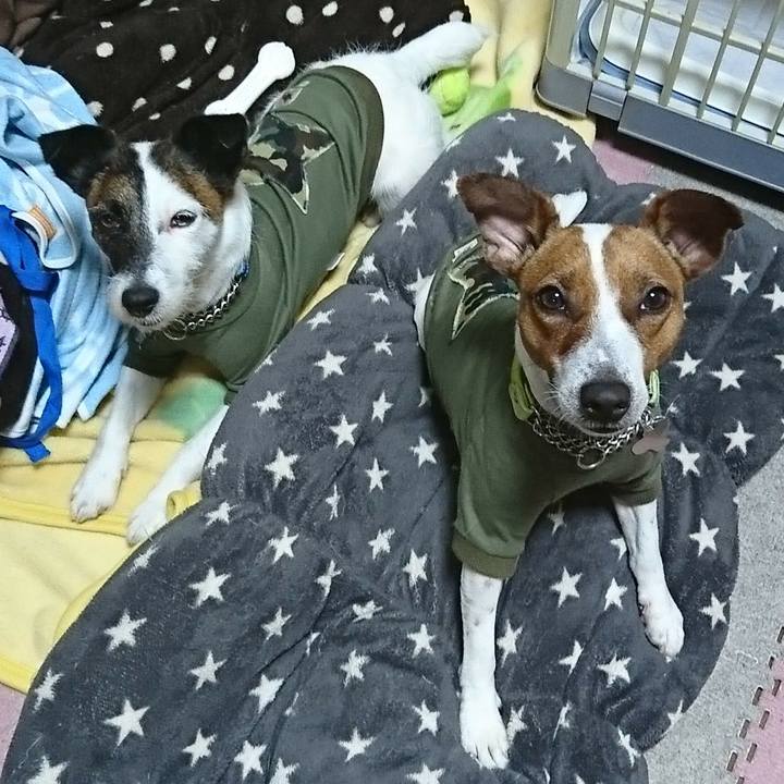 1b995f00 ac14 492d a69c 2415ca493f21 1556700320766