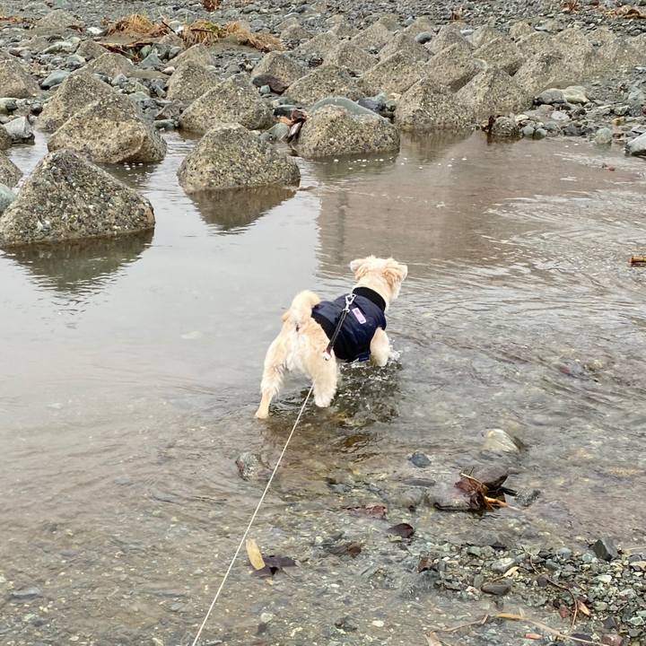 1b997693 3449 439c 874e 42cf8f091266 1581846175665