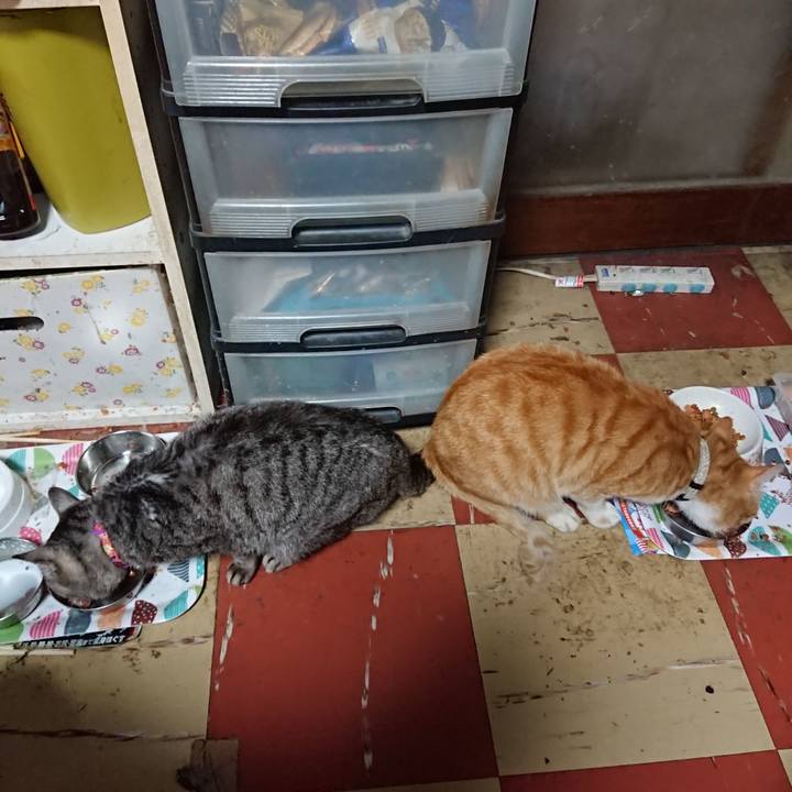 1b998625 f185 4478 8844 bab6f06989c2 1589446350987