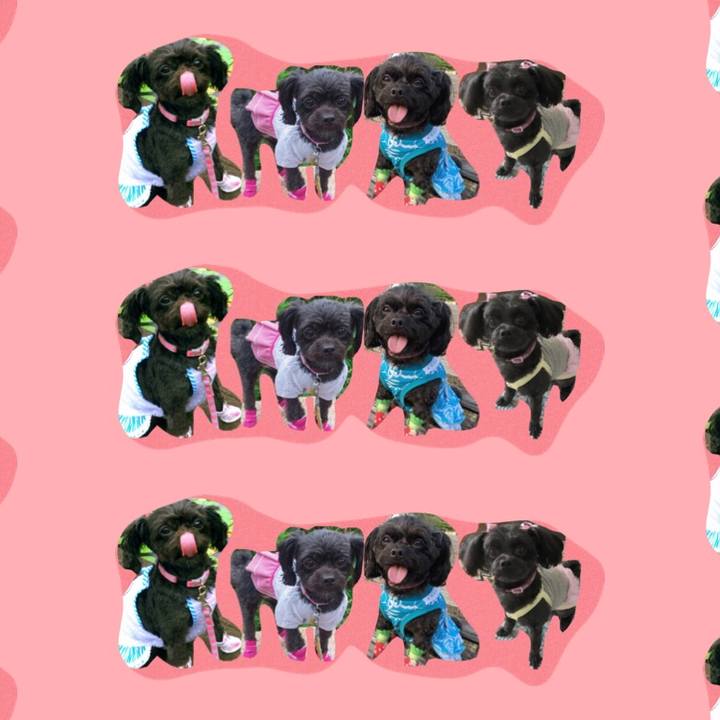 1b99cc94 6f05 4c54 8928 41a8345546c8 1532344773814