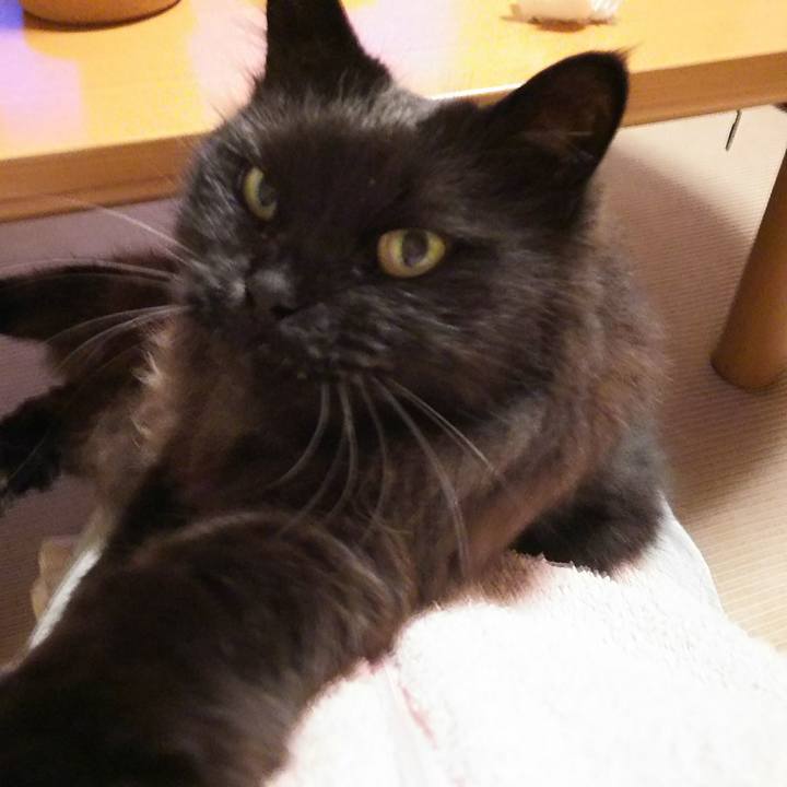 1b99e9b2 7091 452e 8f91 df29e5067345 1529276596763