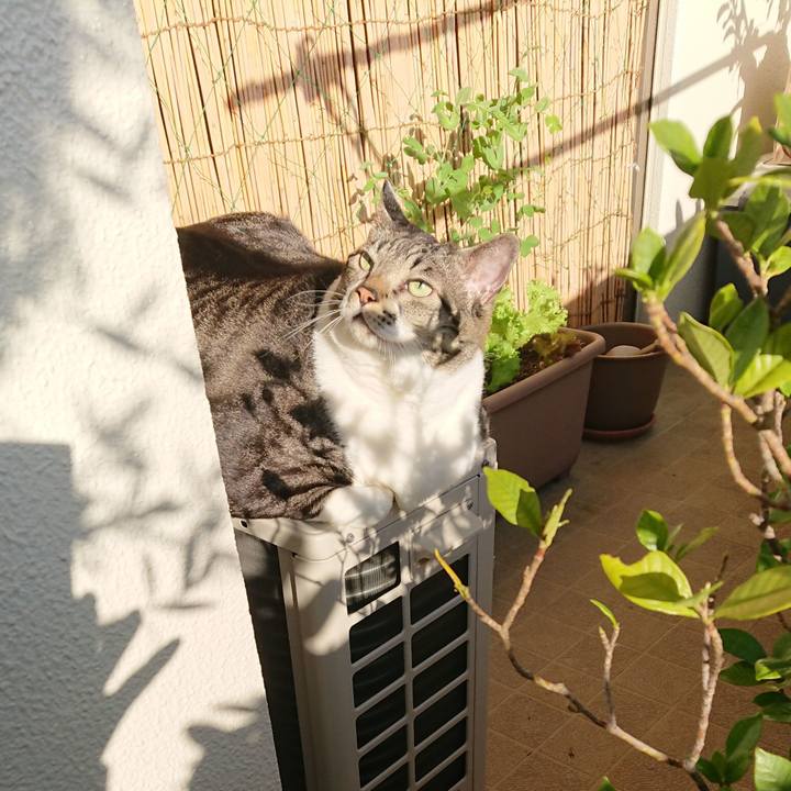 1b9a0530 15d2 40aa a48a aff5fa0872cc 1574120502643