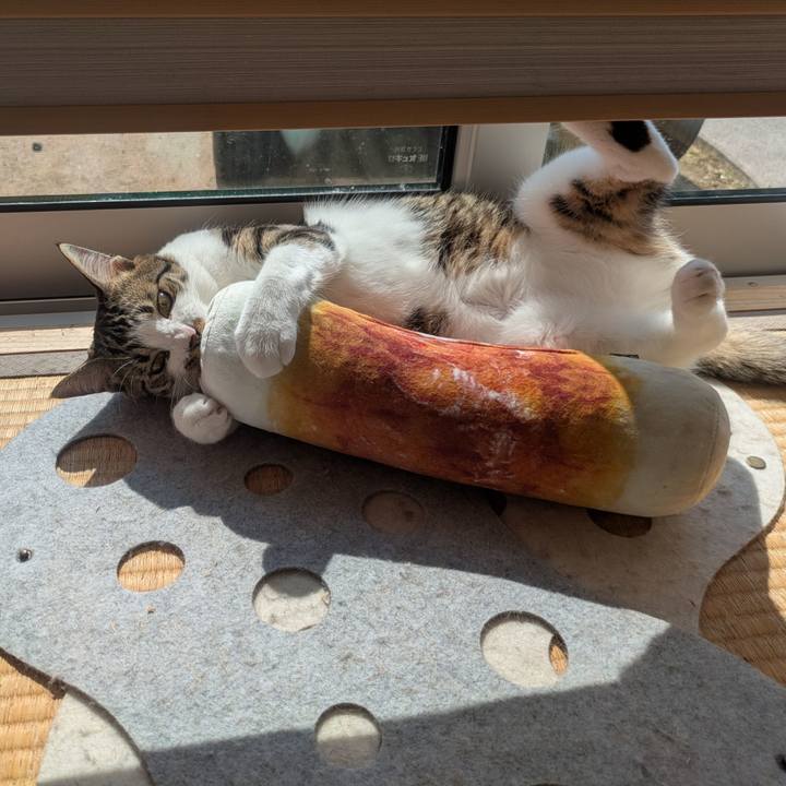 1b9a0c97 3625 47e9 8819 b04dad8aeda9 1753170213867